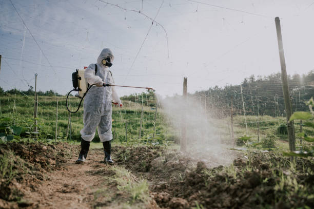 Best Pest Prevention Services  in Du Quoin, IL
