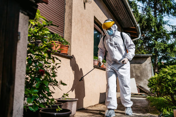 Best Bed Bug Extermination  in Du Quoin, IL