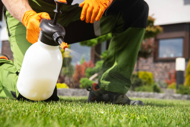 Best Commercial Pest Control Services  in Du Quoin, IL