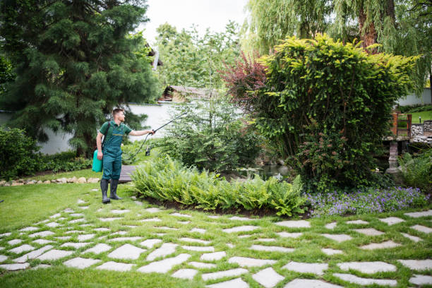 Wasp Removal Services in Du Quoin, IL
