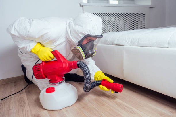 Best Mosquito Control Services  in Du Quoin, IL