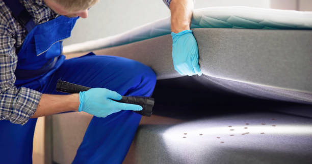 Best Pest Removal Services  in Du Quoin, IL
