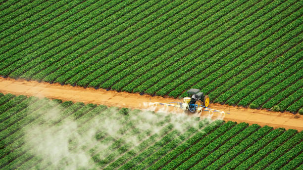 Professional Pest Control in Du Quoin, IL