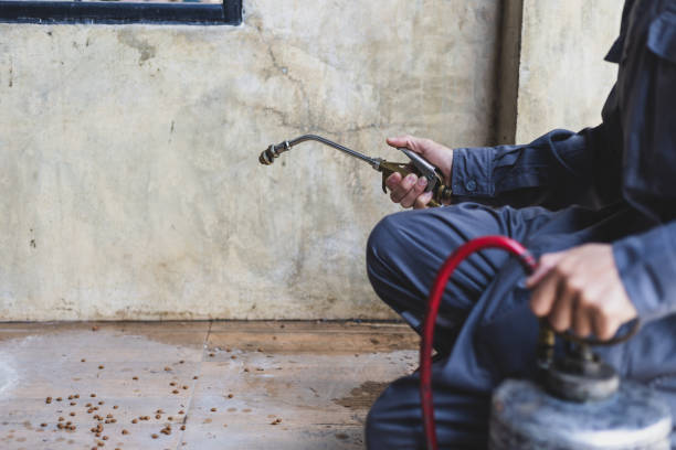 Best Pest Control Cost  in Du Quoin, IL